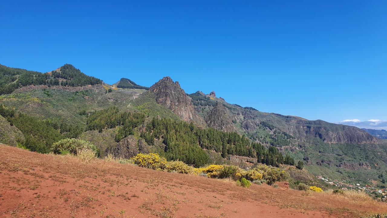 Вилла Casa Cueva Paquito Вега де Сан Матео Экстерьер фото