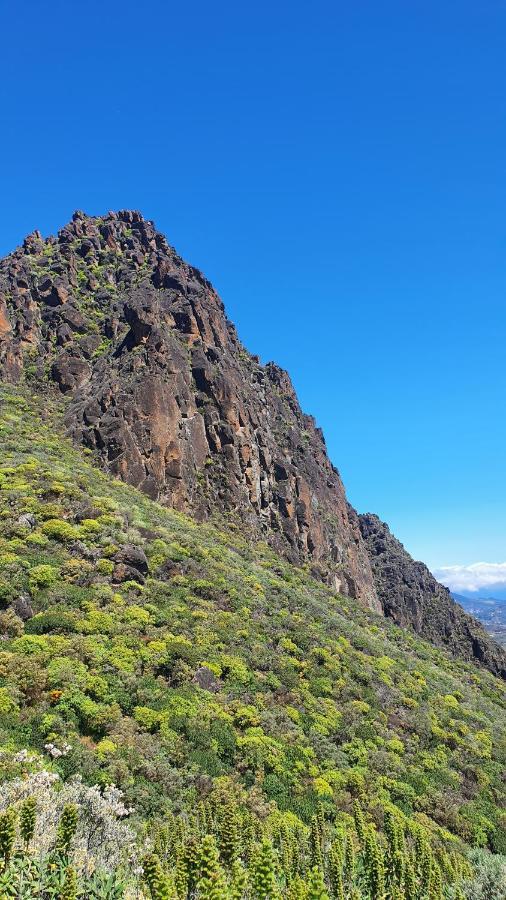 Вилла Casa Cueva Paquito Вега де Сан Матео Экстерьер фото