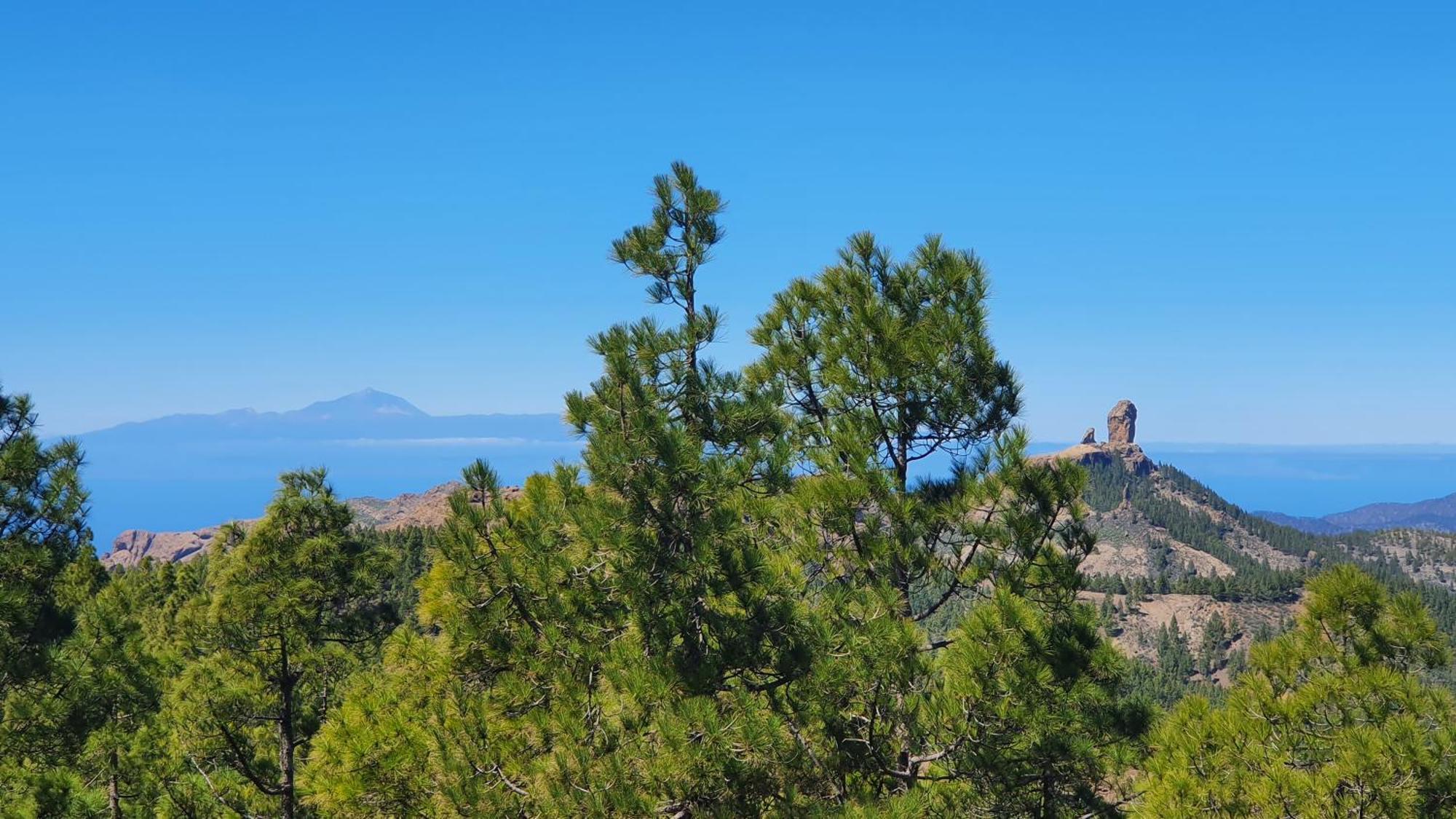 Вилла Casa Cueva Paquito Вега де Сан Матео Экстерьер фото